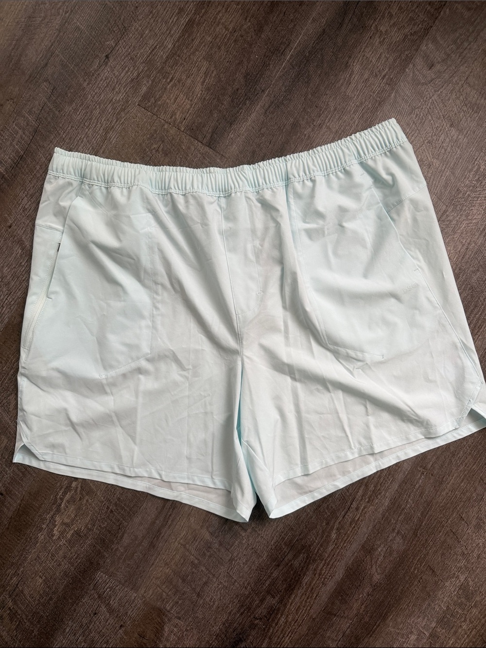 DSG Pale Mint Men’s Athletic Shorts